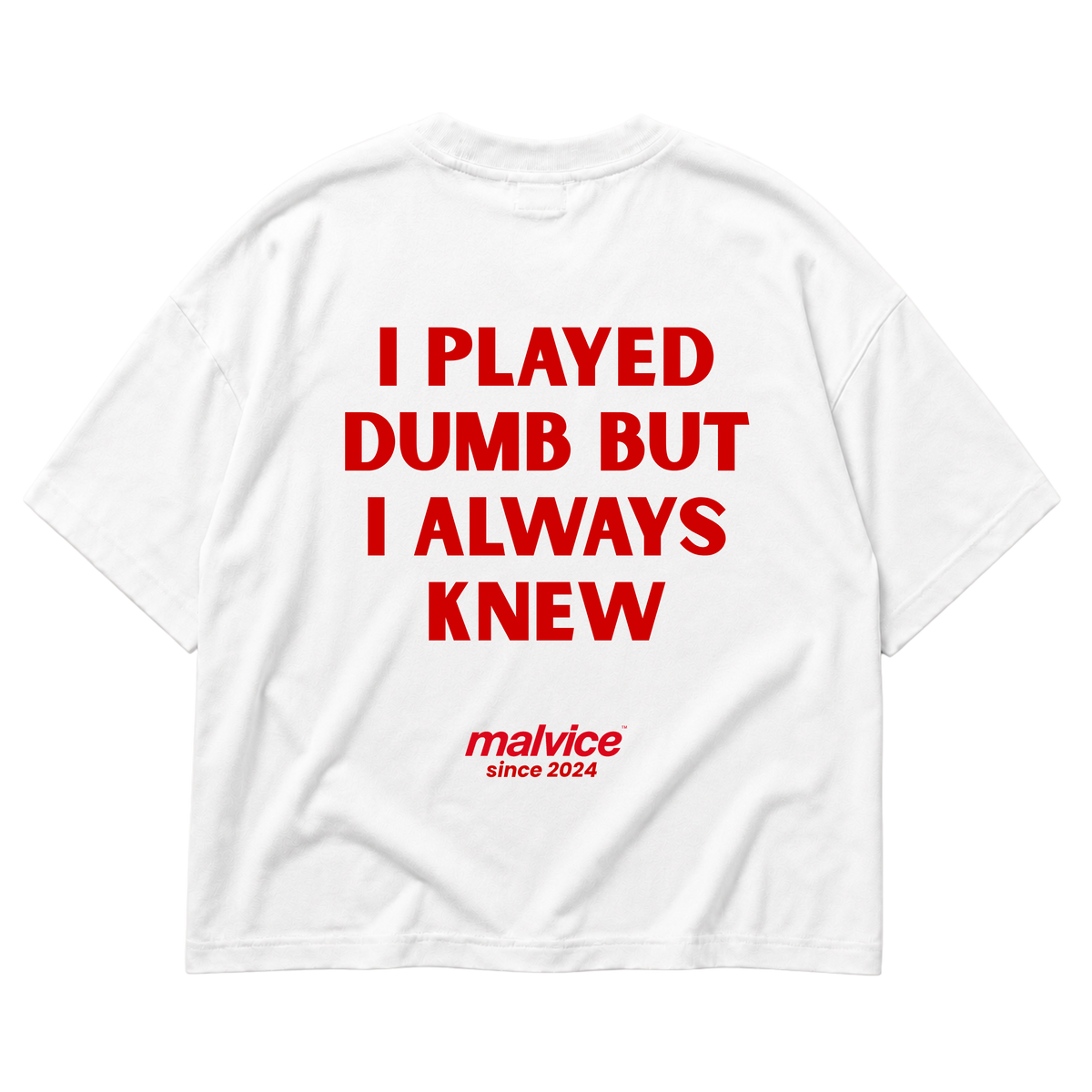 MALVICE I Played Dumb But I Always Knew oversized T-shirt