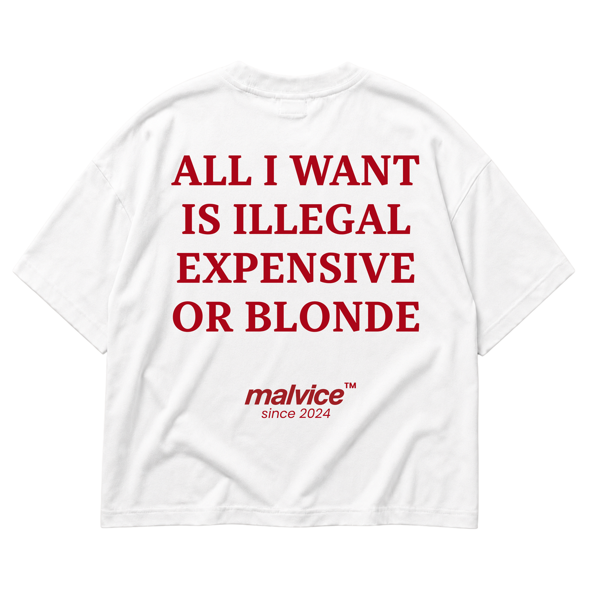 MALVICE All I Want Is Illegal Expensive or Blonde oversized T-shirt