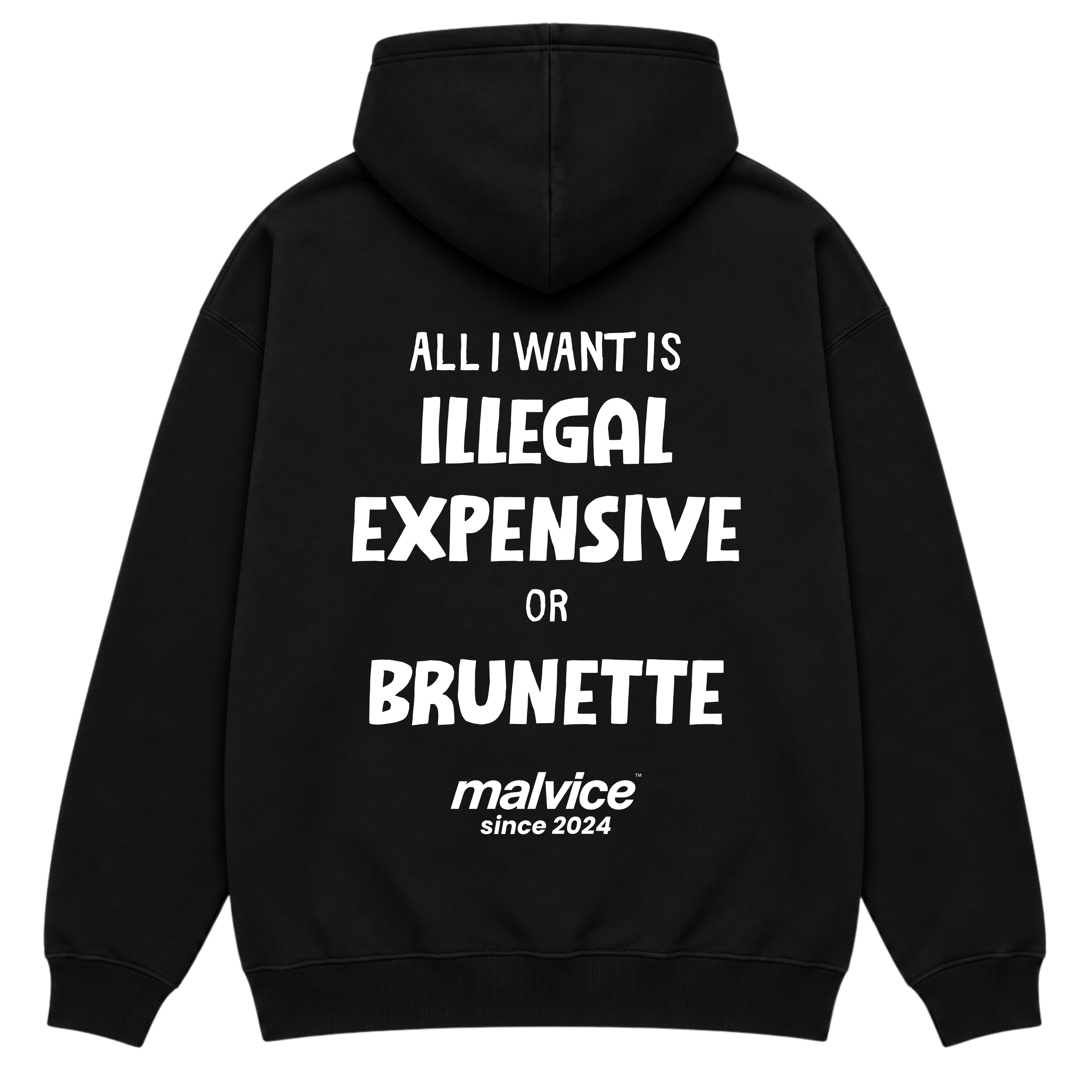ALL I WANT IS ILLEGAL EXPENSIVE OR BRUNETTE Hoodie