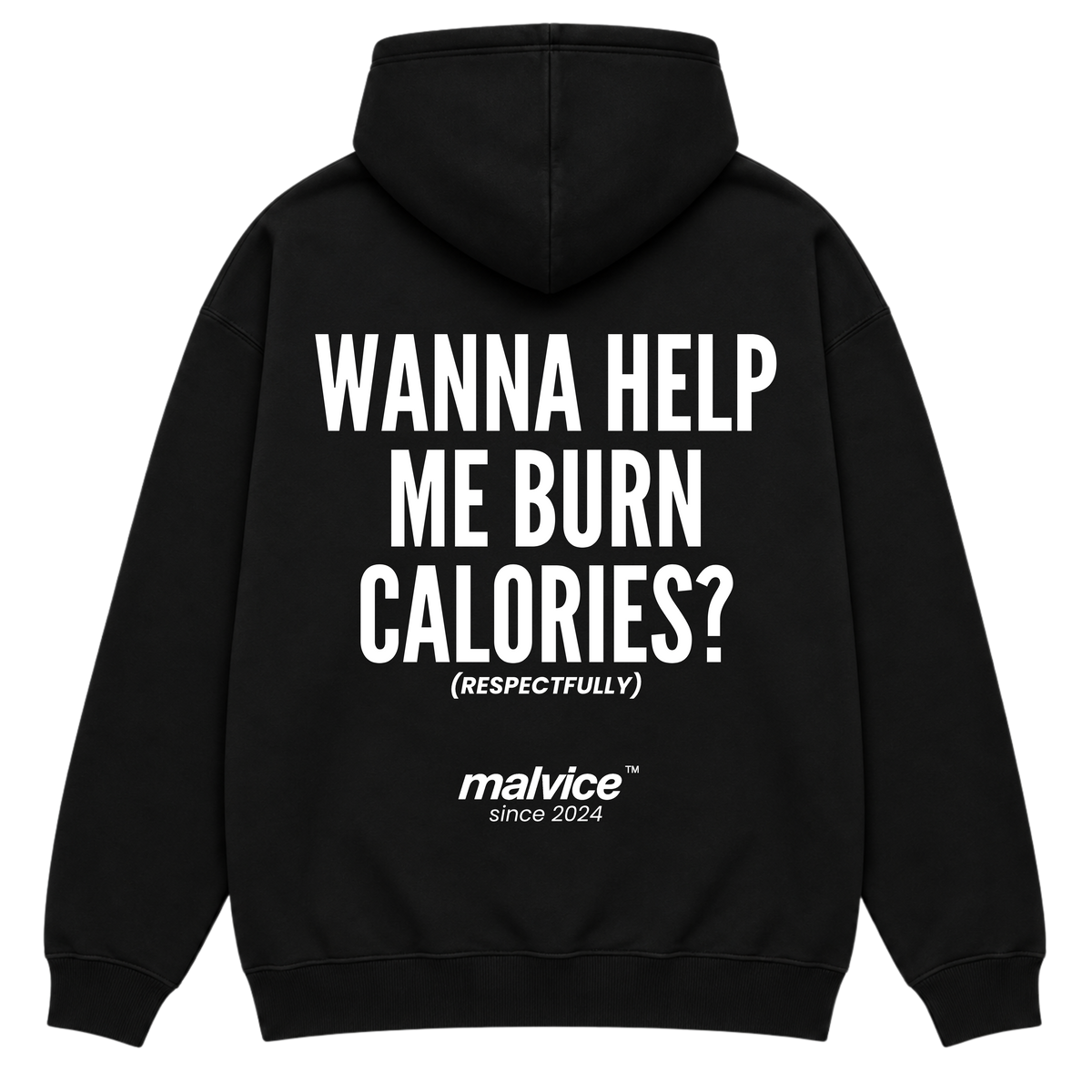 WANNA HELP ME BURN CALORIES? Hoodie